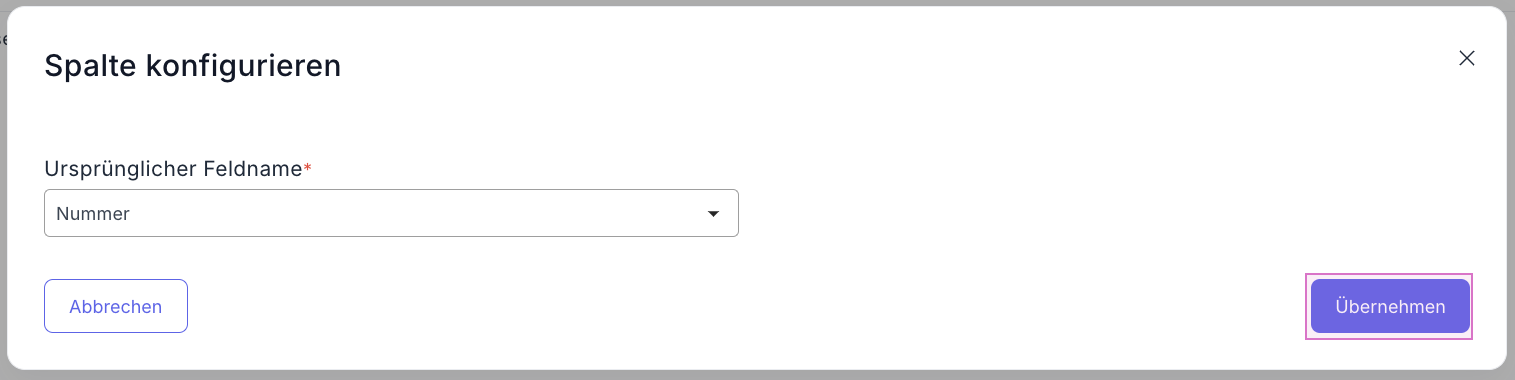 Artikelimport_SpaltenzuordnungUbernehmen.png